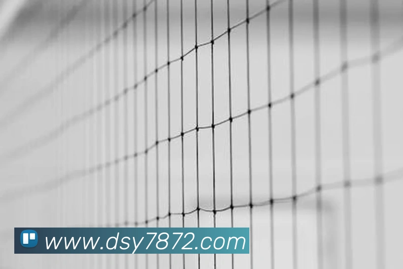 大三元官网平台登录品牌故事